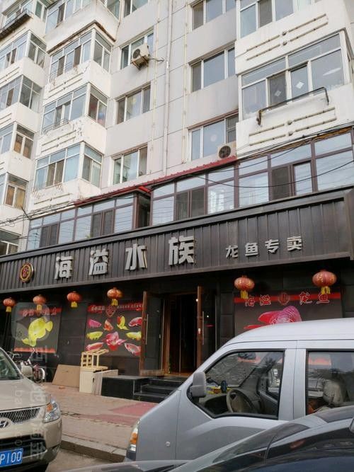 哈爾濱哪家龍魚商店口碑最好：哈爾濱與龍魚相關的商店