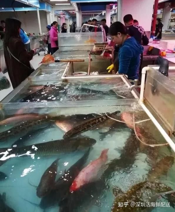 羅芳水產批發市場具體位置：深圳市羅芳水產批發市場