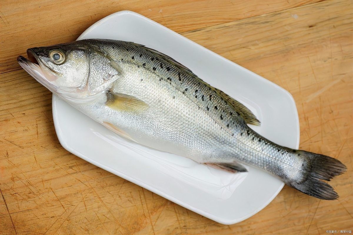如何區分海魚和淡水魚：海魚和淡水魚有什么區別 如何區分海魚和淡水魚：海魚和淡水魚有什么區別 龍魚百科 第7張
