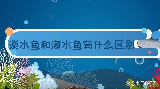 如何區分海魚和淡水魚：海魚和淡水魚有什么區別 如何區分海魚和淡水魚：海魚和淡水魚有什么區別 龍魚百科 第6張