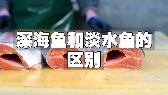 如何區分海魚和淡水魚：海魚和淡水魚有什么區別 如何區分海魚和淡水魚：海魚和淡水魚有什么區別 龍魚百科 第2張