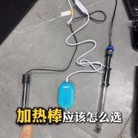 如何選擇合適的加熱棒？：大鵬玩咖測評局：魚缸加熱棒選擇指南 如何選擇合適的加熱棒？：大鵬玩咖測評局：魚缸加熱棒選擇指南 龍魚百科 第8張