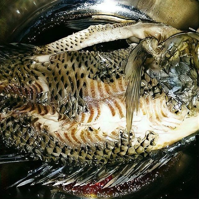 豆豉蒸魚的具體做法：豆豉蒸魚|家常粵菜、廣東朋友手把手教學
