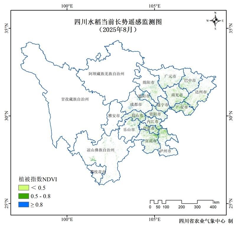 臺灣泥鰍苗和雙線鯽的養殖難度對比：臺灣泥鰍苗與雙線鯽的養殖難度