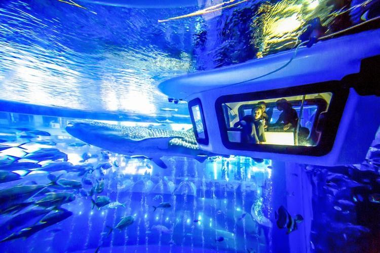 成都龍魚閣水族館的營業時間是？：成都龍魚閣水族館怎么樣