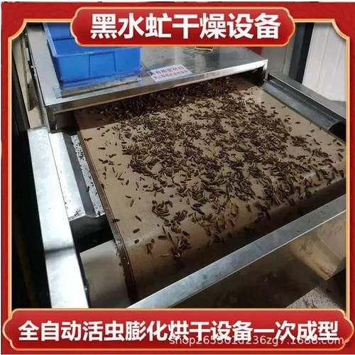 大麥蟲喂龍魚需要消毒嗎？：大麥蟲消毒后如何投喂