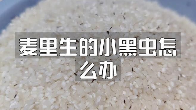大麥蟲喂龍魚需要消毒嗎？：大麥蟲消毒后如何投喂