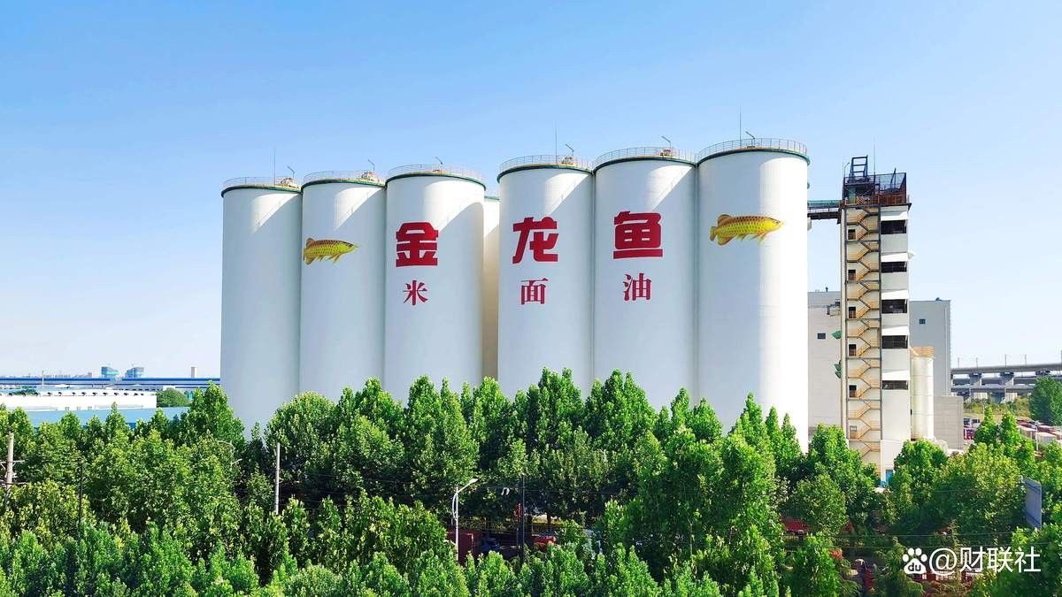 金龍魚定制化產品<strong><mark>合作</mark></strong>有哪些案例：金龍魚與多家頭部零售商達成深度<strong><mark>合作</mark></strong>