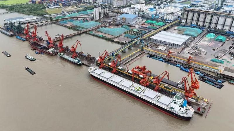 金龍魚如何確保供應商遵守低碳采購標準：金龍魚多維度措施確保供應商遵守低碳采購標準