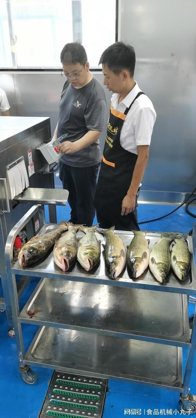 黑魚深加工產品有哪些：黑魚深加工產品