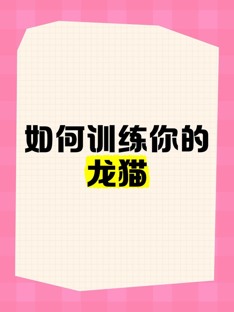 兩只龍貓多久互動(dòng)一次才算正常？：新手養(yǎng)龍貓一定要注意的幾點(diǎn)