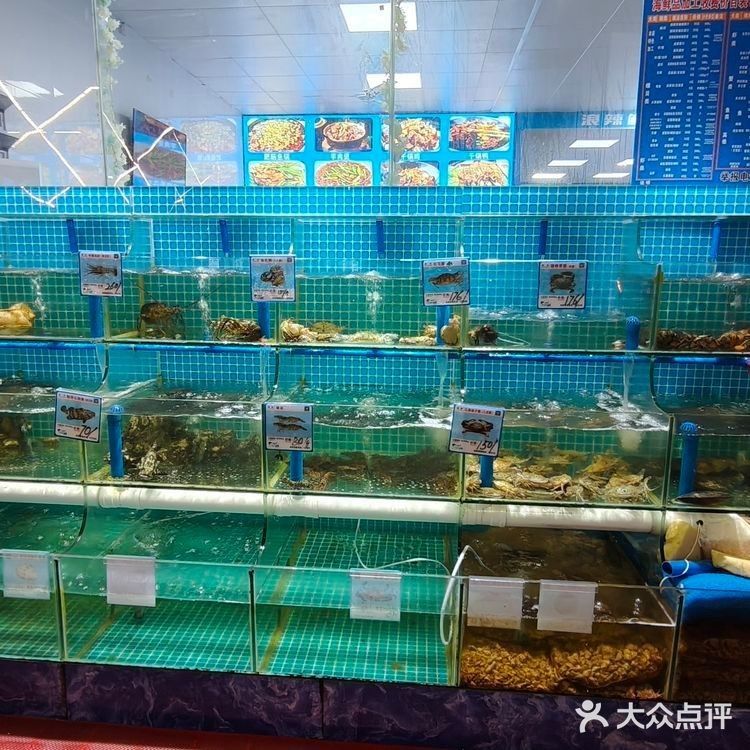 德陽昌龍魚莊的口碑如何？：德陽市名稱相近的魚莊 德陽昌龍魚莊的口碑如何？：德陽市名稱相近的魚莊 龍魚百科 第3張