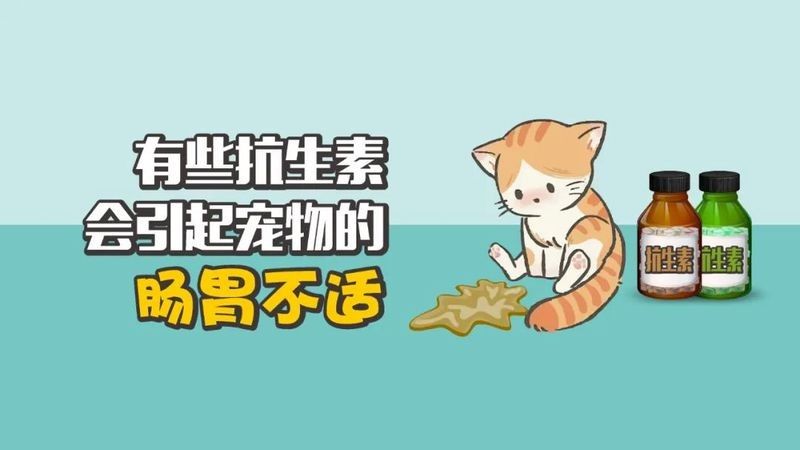 如何正確使用龍魚專用抗生素？：關于龍魚專用抗生素的正確使用方法