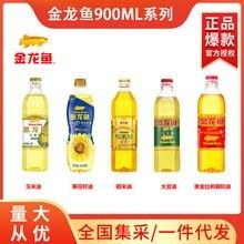 金龍魚批發(fā)商的價格是多少：小米金龍魚批發(fā)價格波動如何這種波動對市場有何影響 金龍魚批發(fā)商的價格是多少：小米金龍魚批發(fā)價格波動如何這種波動對市場有何影響 龍魚百科 第10張