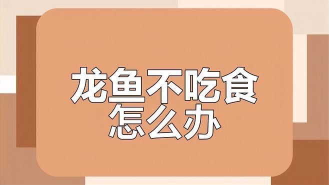 如何判斷龍魚是否因藥物而拒食：龍魚因藥物拒食原因大揭秘龍魚拒食原因大揭秘