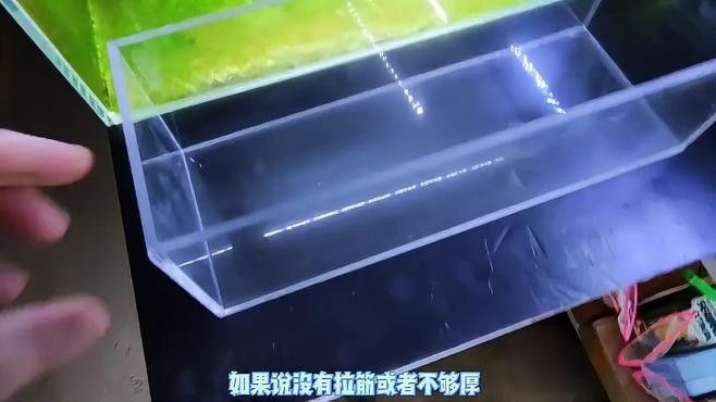 如何選擇合適的魚缸尺寸：twincamfx養魚選缸全攻略twincamfx