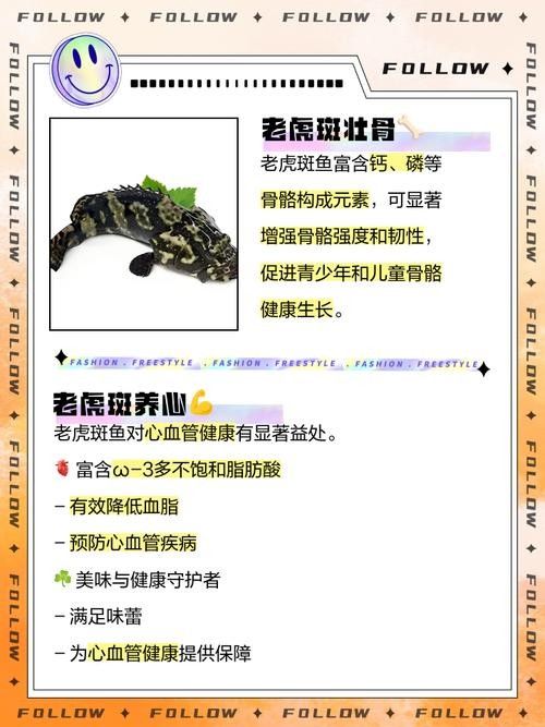 給我一些虎斑恐龍魚繁殖的圖片：虎斑恐龍魚的繁殖