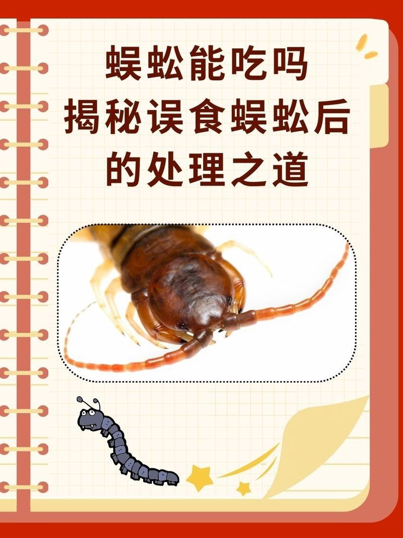 紅龍魚吃蜈蚣后如何處理？：紅龍魚吃蜈蚣后的處理方法