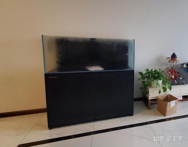彩蝶龍魚缸的用戶評價怎么樣：彩蝶魚缸怎么樣 彩蝶龍魚缸的用戶評價怎么樣：彩蝶魚缸怎么樣 龍魚百科 第10張
