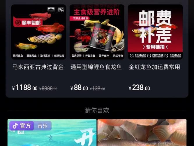 如何搜索到更多龍魚視頻資源:如何搜索到更多龍魚視頻資源? 龍魚百科 第2張 如何搜索到更多龍魚視頻資源:如何搜索到更多龍魚視頻資源? 如何搜索到更多龍魚視頻資源:如何搜索到更多龍魚視頻資源? 龍魚百科 第2張