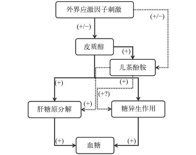 如何幫助金龍魚更快適應新環境：幫助金龍魚適應新環境需要從水質、溫度、喂食、光照等多方面綜合管理 如何幫助金龍魚更快適應新環境：幫助金龍魚適應新環境需要從水質、溫度、喂食、光照等多方面綜合管理 龍魚百科 第9張
