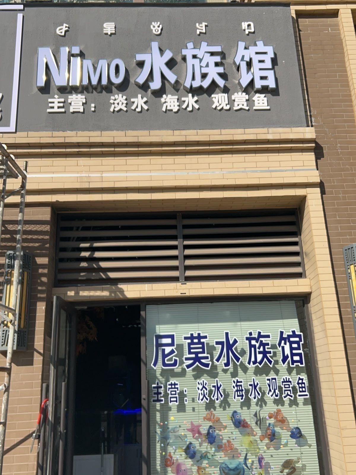 雷波哪個水族館龍魚好？祥龍魚場龍魚：涼山彝族自治州雷波縣暫無明確水族館或魚場信息