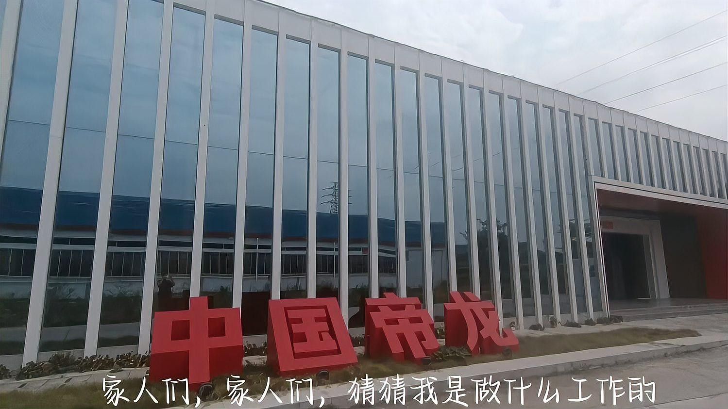 廣州龍魚漁場的價格如何：廣州龍魚漁場價格