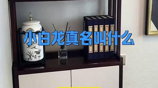 紅龍與白龍在傳說中有具體的名字嗎：亞瑟王傳說中紅龍與白龍在不同文化傳說中的命名情況如下
