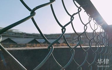 紅龍魚走私是否可以判緩刑：法律規(guī)定走私案可以判緩刑嗎