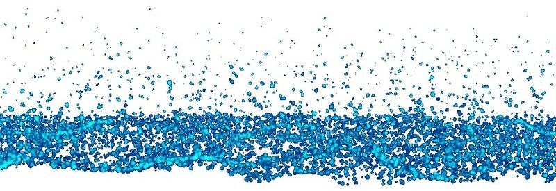 南寧龍魚批發市場的價格范圍：南寧龍魚批發價格呈現以下特點