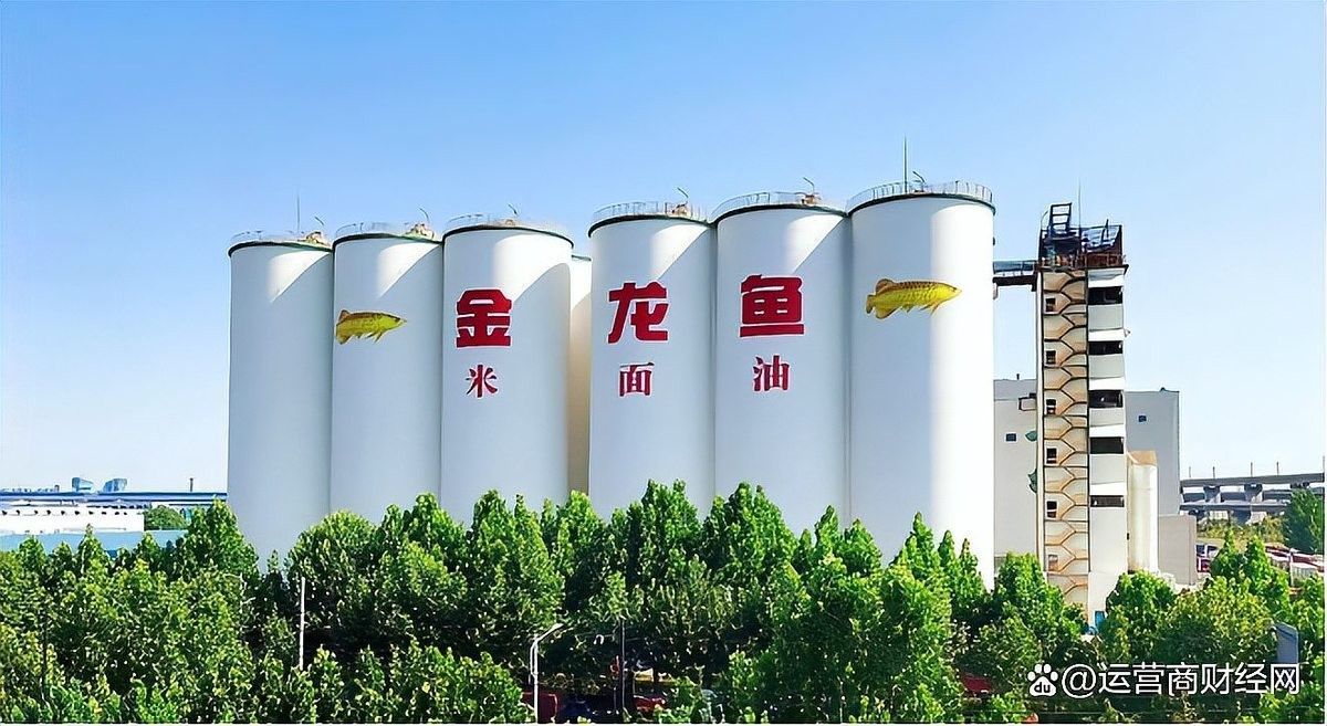 金龍魚食品的財務狀況如何：東方財富網金龍魚2025年上半年業績回暖盈利質量提升 金龍魚食品的財務狀況如何：東方財富網金龍魚2025年上半年業績回暖盈利質量提升 龍魚百科 第1張