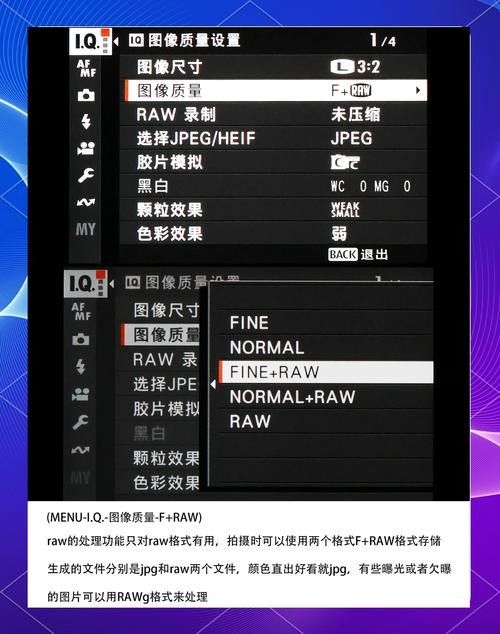 如何設(shè)置相機的RAW格式？：不同品牌相機的raw格式設(shè)置方法