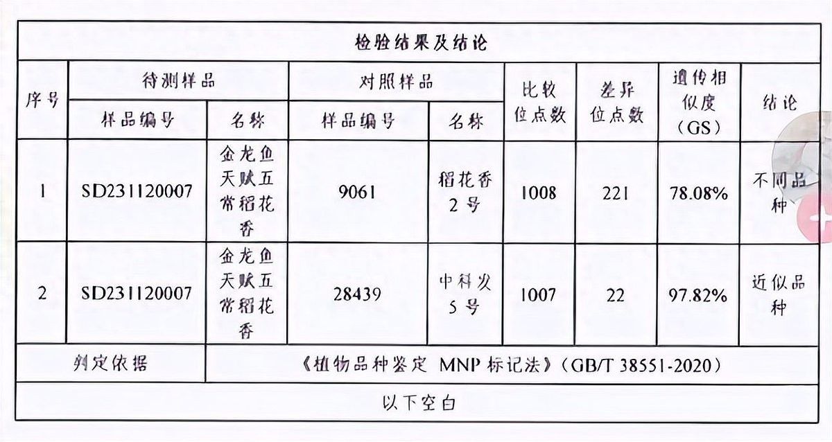 金龍魚絲苗米有假貨嗎？：如何辨別金龍魚絲苗米的真偽？