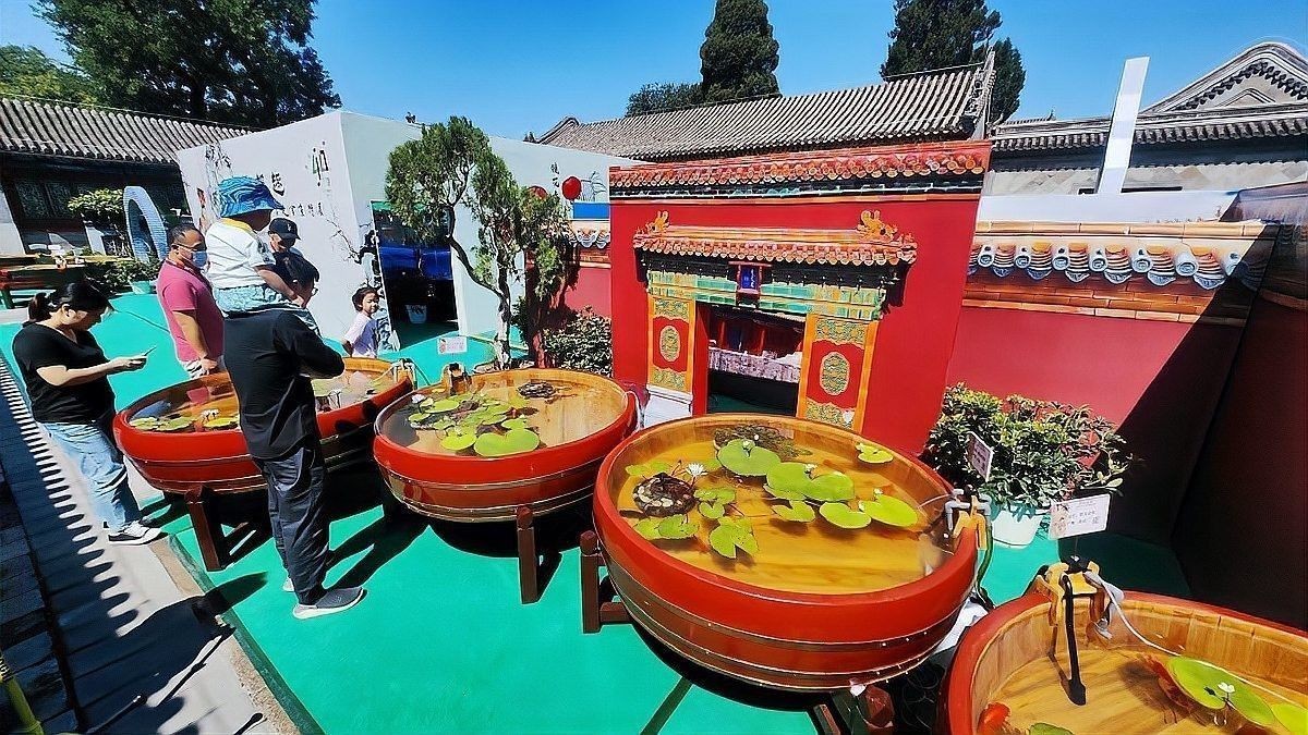 復(fù)興哪個(gè)水族館龍魚好？祥龍魚場(chǎng)龍魚：復(fù)興商貿(mào)城周邊有哪些專業(yè)水族店？