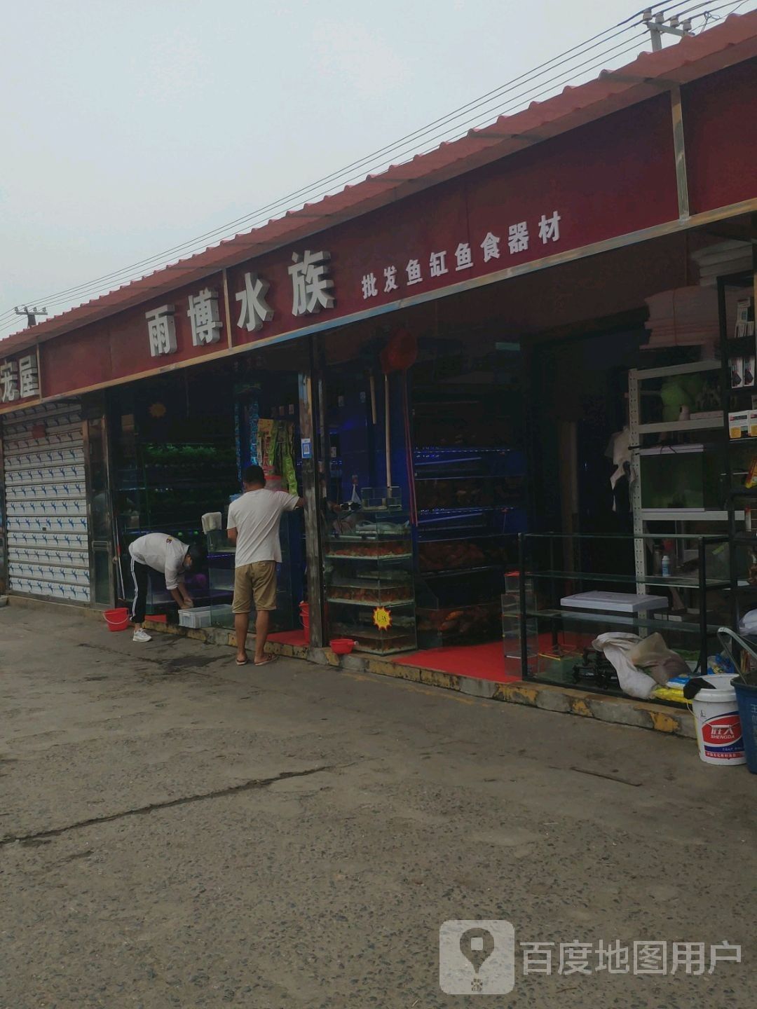 復(fù)興哪個(gè)水族館龍魚好？祥龍魚場(chǎng)龍魚：復(fù)興商貿(mào)城周邊有哪些專業(yè)水族店？