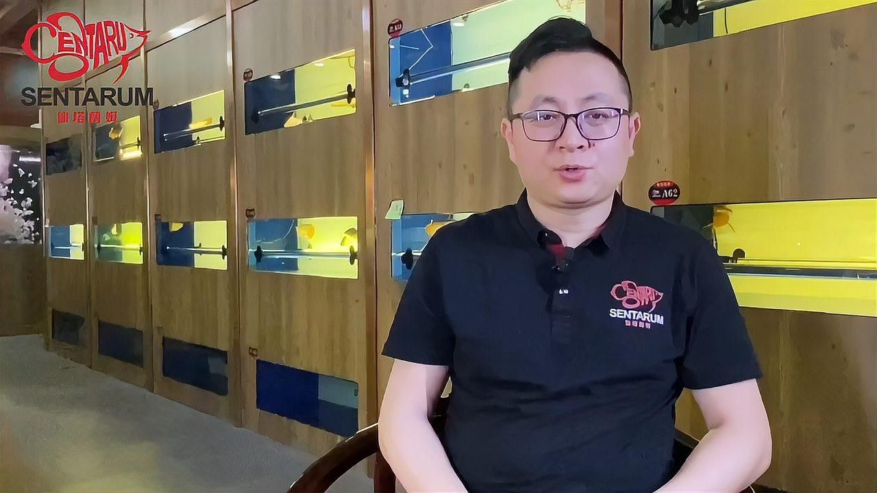 龍魚飼養(yǎng)需要多大的空間？：養(yǎng)紅龍魚缸最低標準文絮阿姨,01:09龍魚最佳飼養(yǎng)尺寸揭秘 龍魚飼養(yǎng)需要多大的空間？：養(yǎng)紅龍魚缸最低標準文絮阿姨,01:09龍魚最佳飼養(yǎng)尺寸揭秘 龍魚百科 第4張