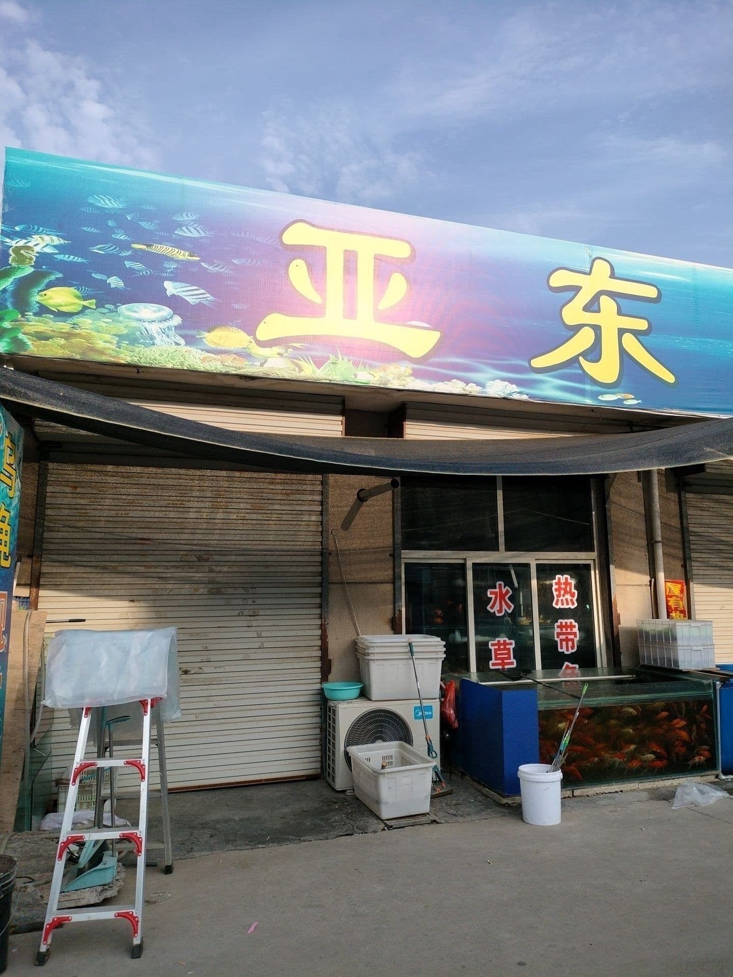 亞東哪個水族館龍魚好？祥龍魚場龍魚：亞東水族館和祥龍魚場哪個更專業？