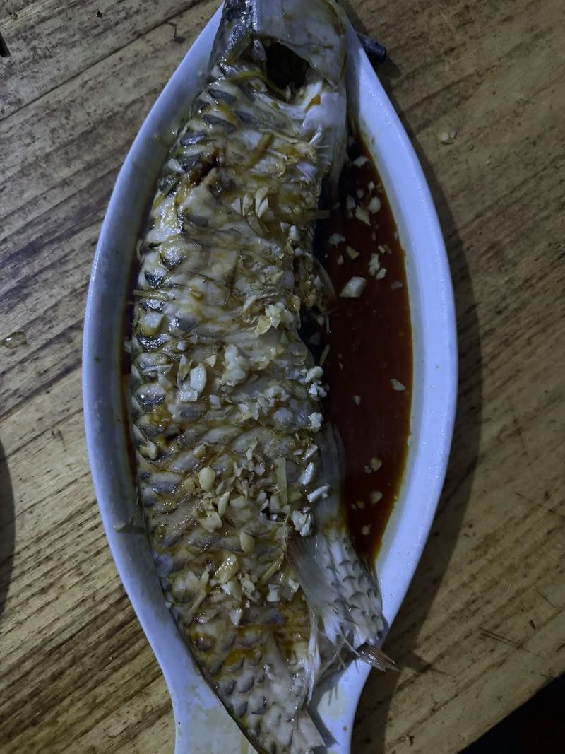 金龍魚除了河蝦還能吃什么：金龍魚吃什么好