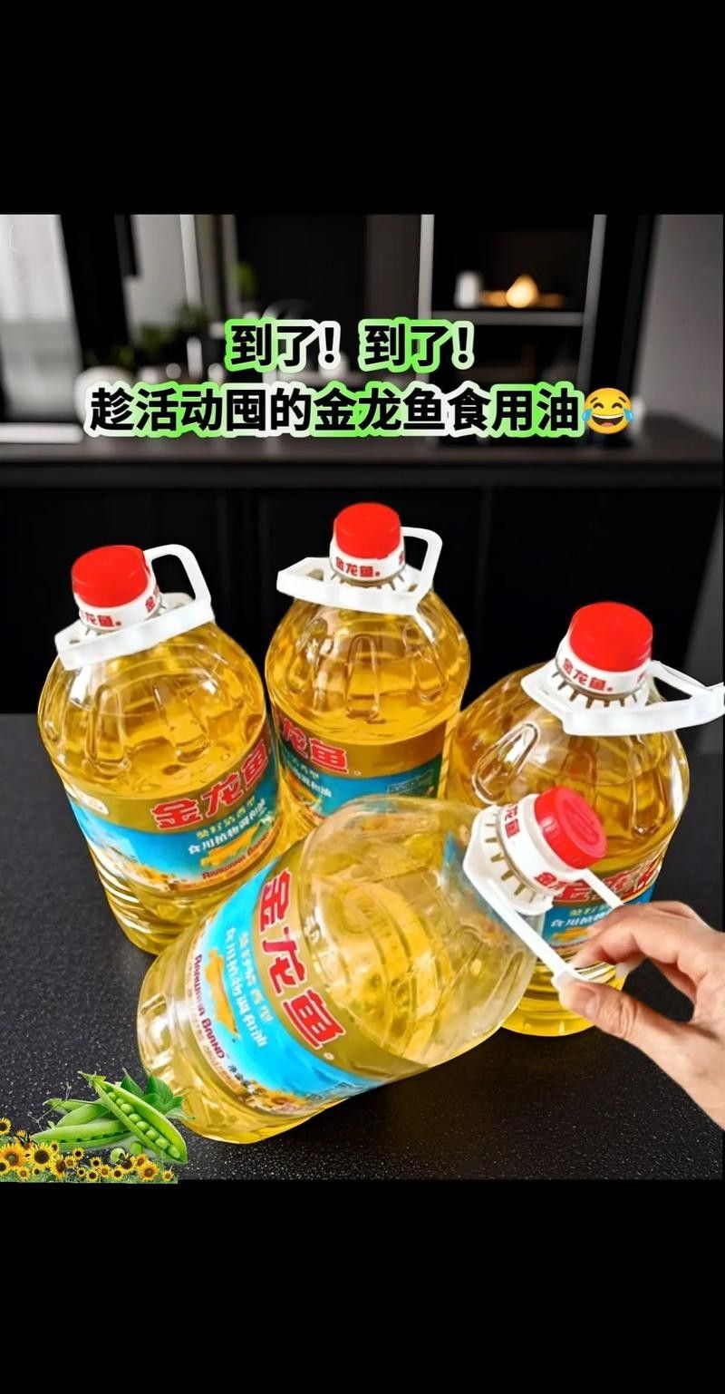 金龍魚除了河蝦還能吃什么：金龍魚吃什么好