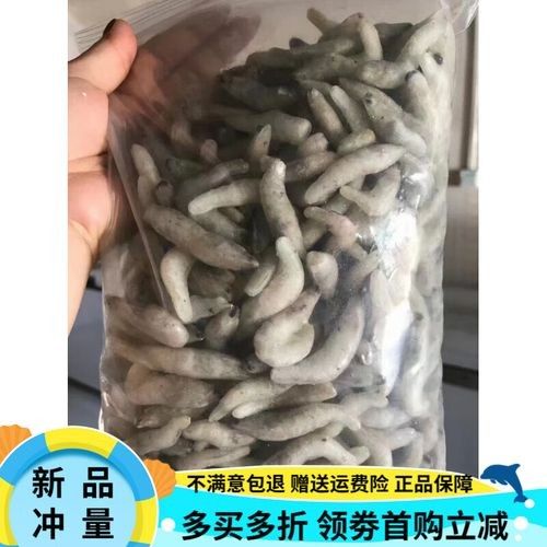 金龍魚除了河蝦還能吃什么：金龍魚吃什么好