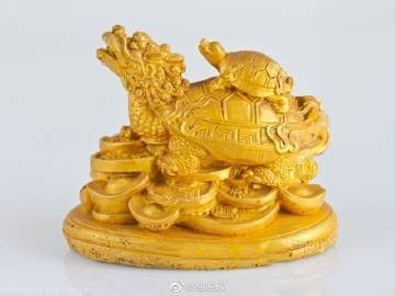 龍龜放在哪里最招財：龍龜擺放位置有什么講究 龍龜放在哪里最招財：龍龜擺放位置有什么講究 龍魚百科 第2張