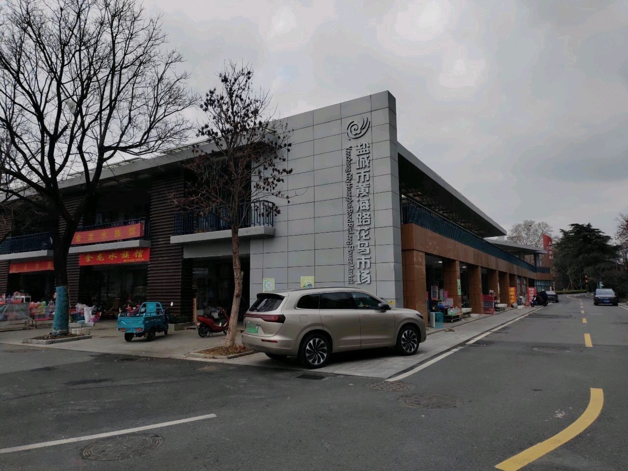 亭湖哪個水族館龍魚好？祥龍魚場龍魚：亭湖區水族館提供高品質龍魚 亭湖哪個水族館龍魚好？祥龍魚場龍魚：亭湖區水族館提供高品質龍魚 龍魚百科 第1張