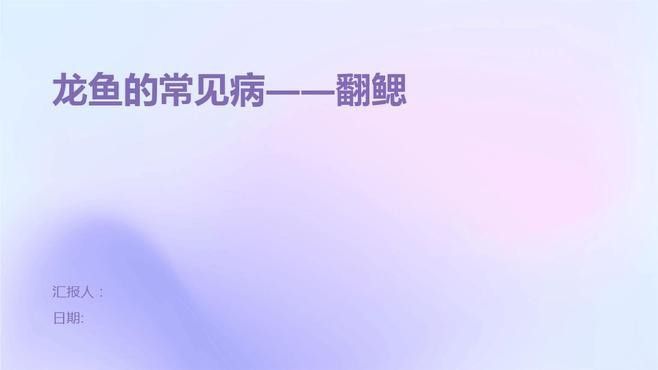 如何預防龍魚鰓蓋問題？：廣西壯族自治區農業農村廳龍魚翻鰓不手術雨季養護法輕松恢復半勺泡泡糖