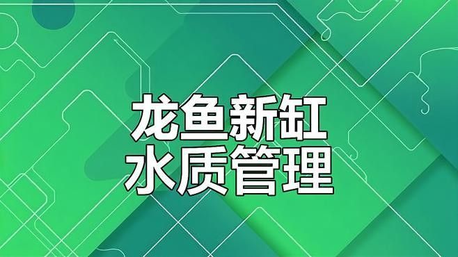 龍魚過濾系統多久清洗一次？：龍魚過濾系統如何清洗 龍魚過濾系統多久清洗一次？：龍魚過濾系統如何清洗 龍魚百科 第2張