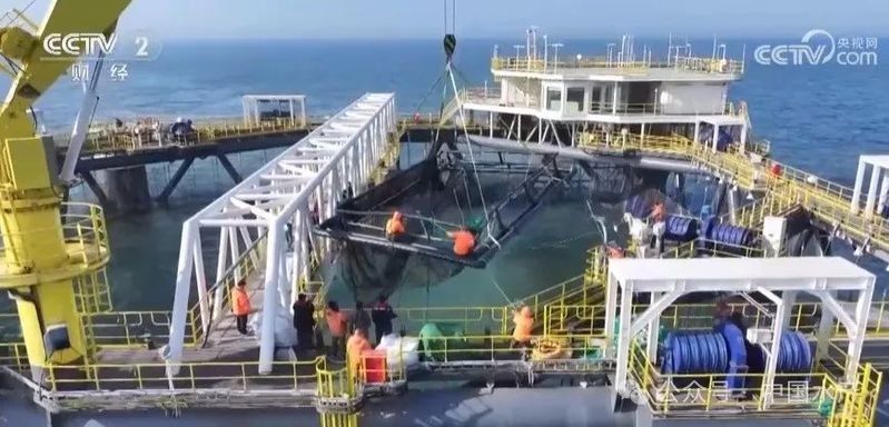如何聯系祥龍魚場？：廣州龍魚批發市場