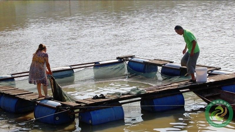 如何聯系祥龍魚場？：廣州龍魚批發市場