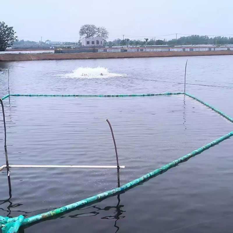 如何聯系祥龍魚場？：廣州龍魚批發市場