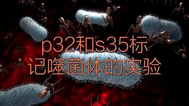 化學標記技術具體是如何操作的：化學標記技術是通過特定方法將標記物（如同位素、熒光素等）與目標分子結合