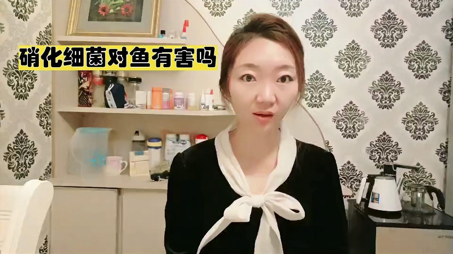 龍魚對硝化細菌敏感嗎：龍魚對硝化細菌的敏感性 龍魚對硝化細菌敏感嗎：龍魚對硝化細菌的敏感性 龍魚百科 第1張