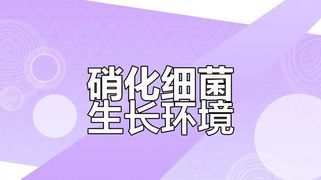 龍魚對硝化細菌敏感嗎：龍魚對硝化細菌的敏感性 龍魚對硝化細菌敏感嗎：龍魚對硝化細菌的敏感性 龍魚百科 第2張